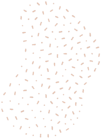 https://409swim.org/wp-content/uploads/2021/06/floating_image_01.png
