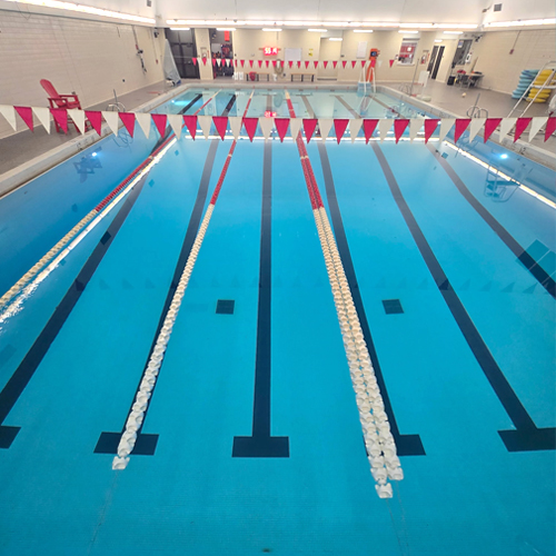 https://409swim.org/wp-content/uploads/2026/04/lamar-university-swimming.jpg